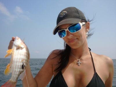 What Fish Species Can I Catch Biloxi