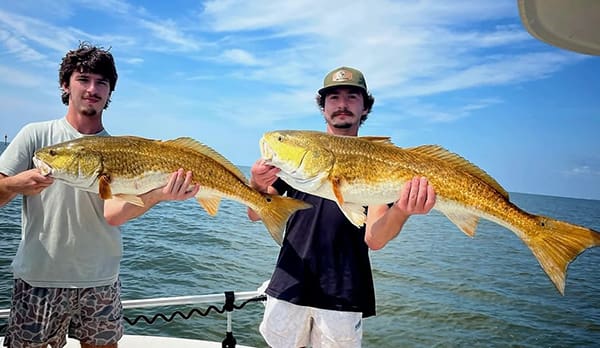 Gulf Coast Bull Reds 